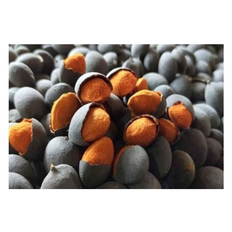 

Buah langka ASAM KRANJI Kolesterol Asam urat diabetes magh pencernaan gula darah