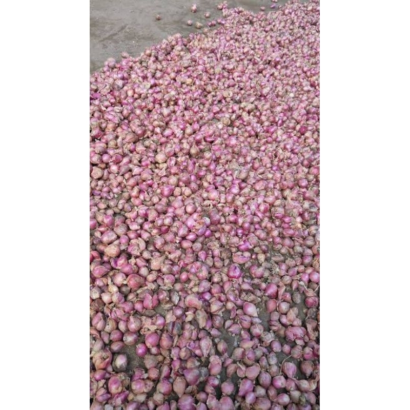 

Bawang merah ukuran sedang/campur 500gram