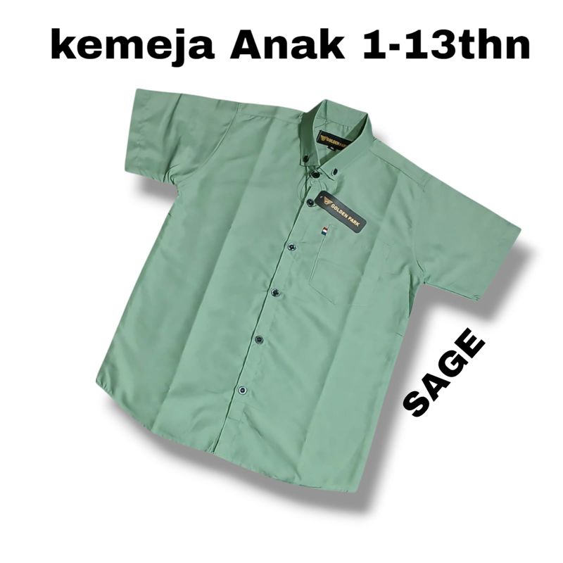 Baju Kemeja Anak Laki Laki Usia 1-13thn Lengan Pendek hem Anak cowok Warna Sage