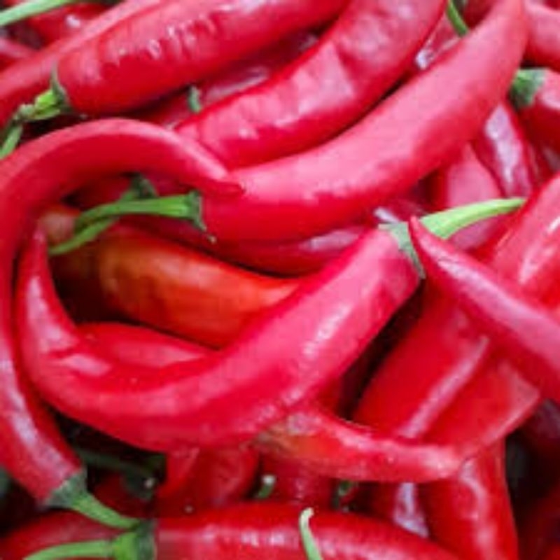 

cabai besar merah fress bergaransi 200g-1kg BACA DESKRIPSI SEBELUM CHECKOUT