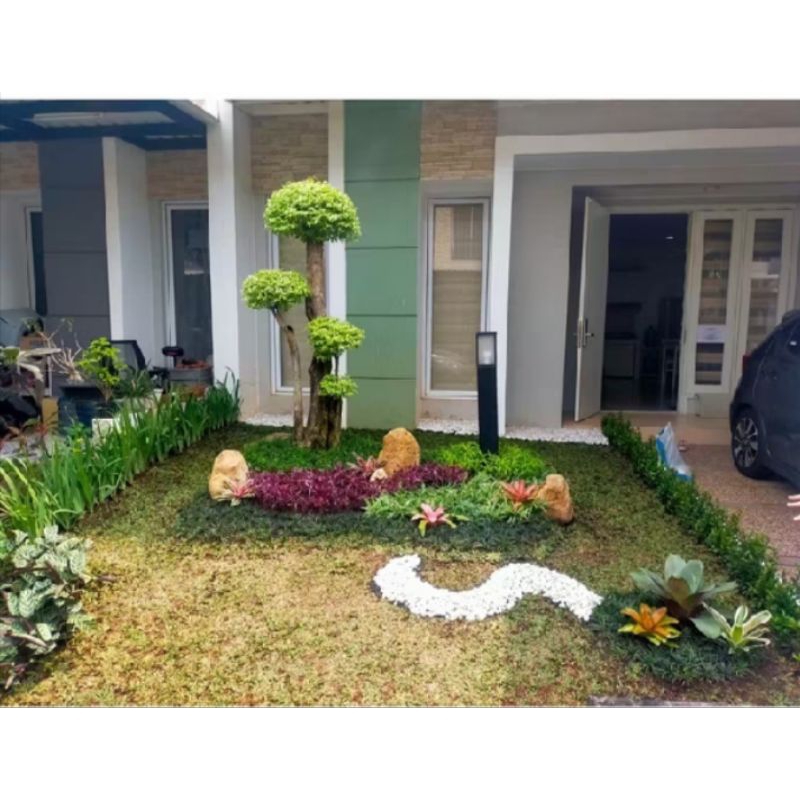 taman rumput depan rumah/taman cantik/taman minimalis