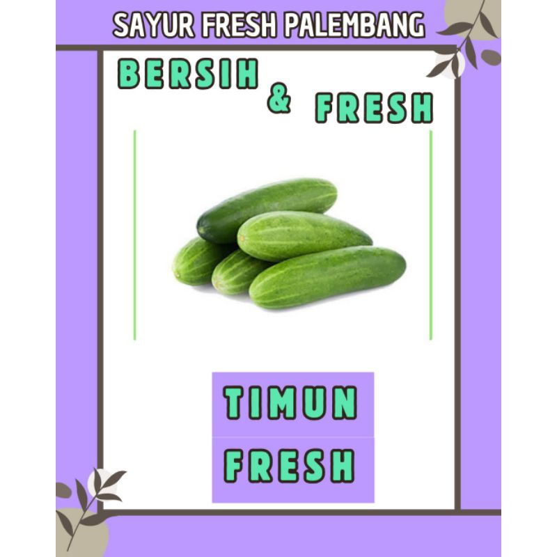 

TIMUN FRESH & BERSIH - PALEMBANG