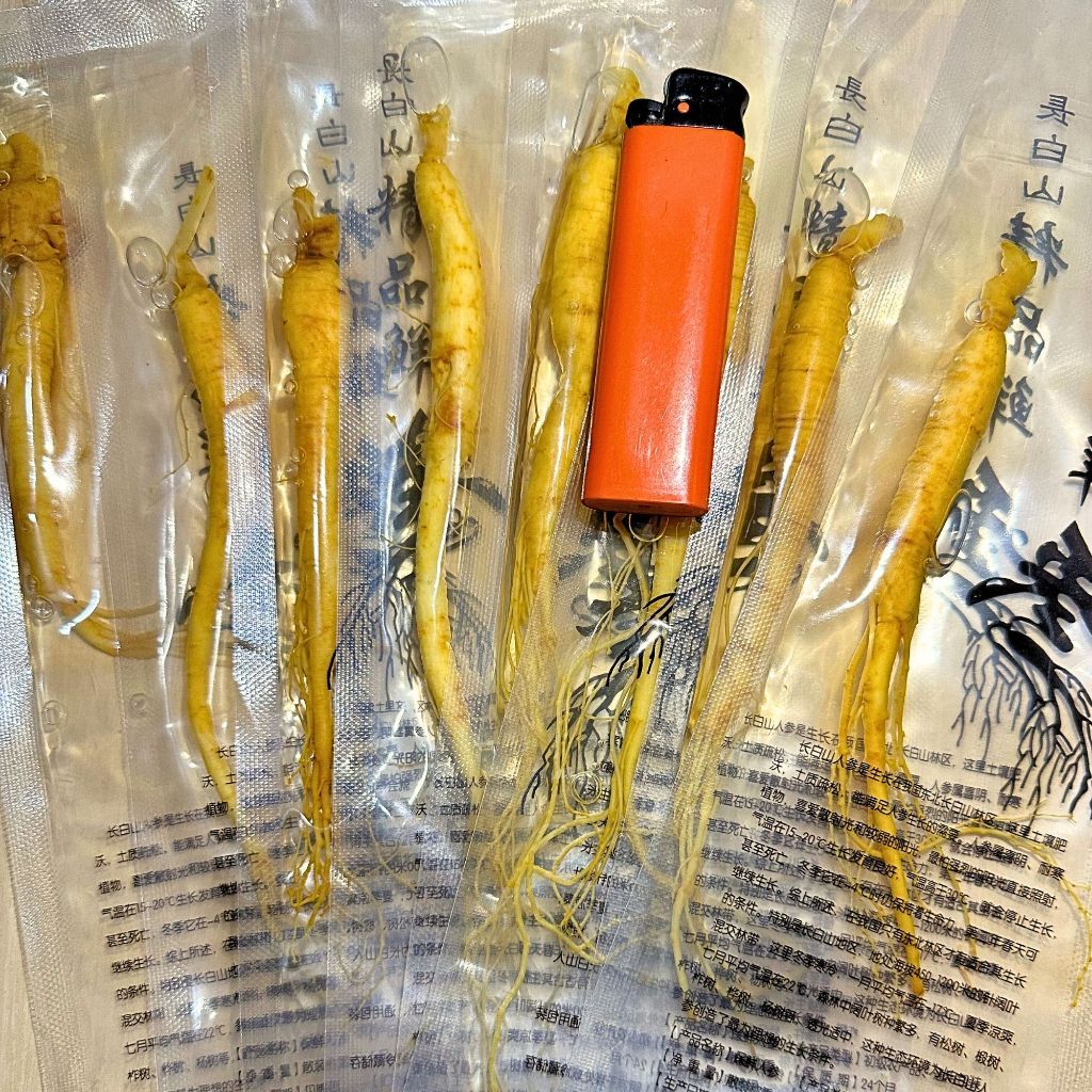 

Akar Ginseng Segar 20gr Vakum | Herbal Changbai untuk Rendaman
