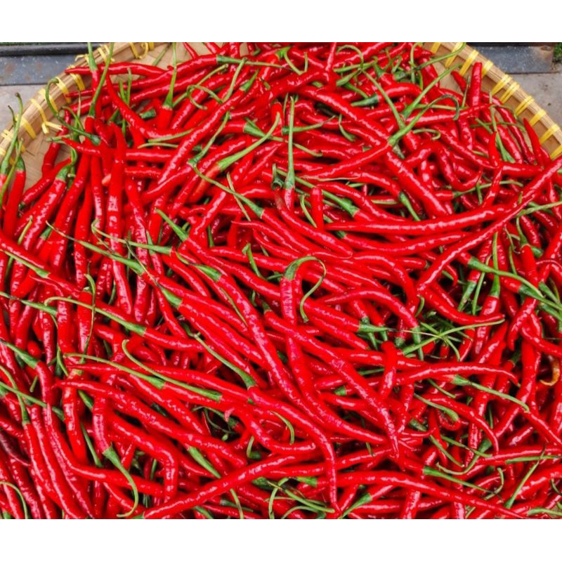 

Cabai merah keriting 1/4 kg