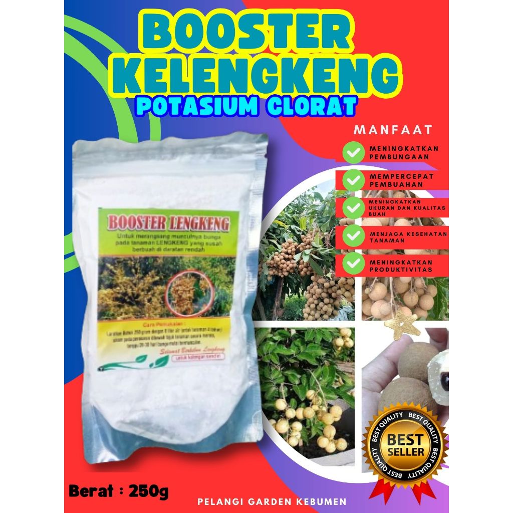 UNGGULAN  Booster Kelengkeng Murni, Booster Kelengkeng Murni 1Kg, Booster Kelengkeng Merah