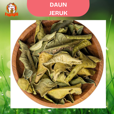 

Daun Jeruk Purut Kering Asli Dried Lime Leaves