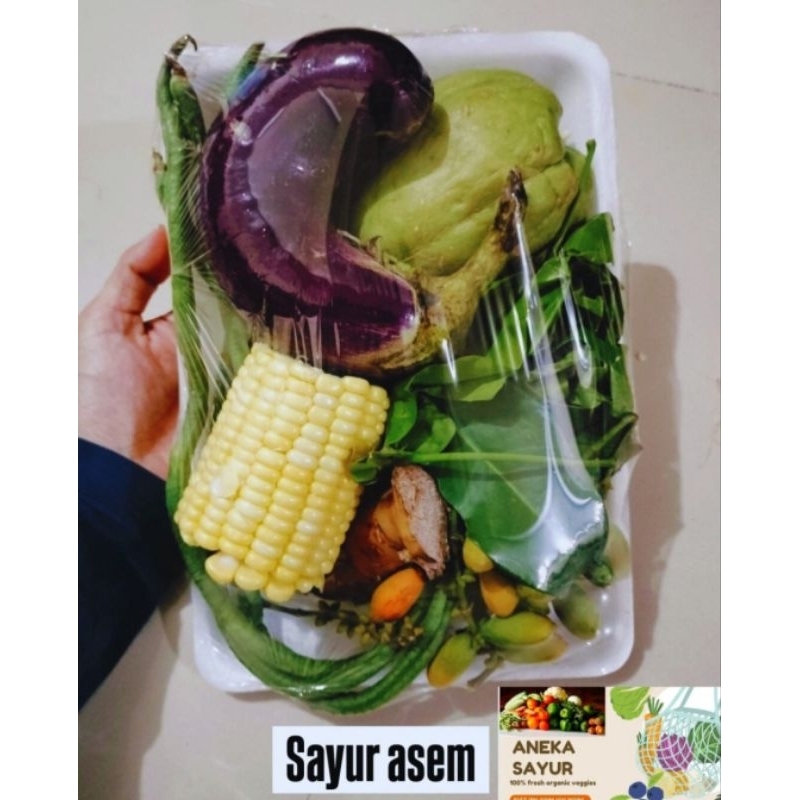 

JUAL PAKET SAYUR LODEH