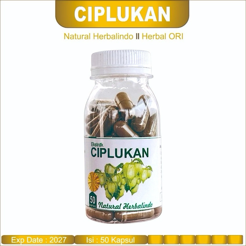 Obat Herbal Stroke Ampuh CIPLUKAN KAPSUL