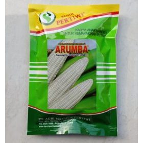 

BENIH UNGGULAN !!! Bibit Jagung Putih pulut manis ARUMBA jagung 250 gram