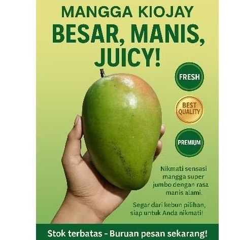 

mangga kiojay 2kg isi 3-4 manis kriuk
