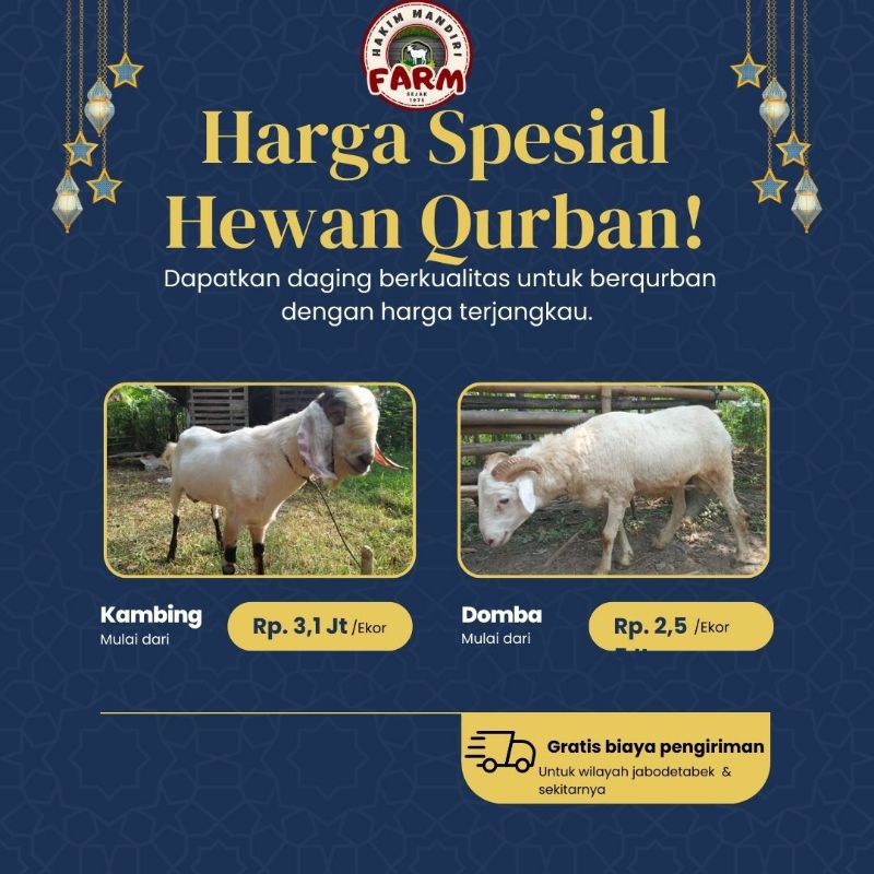 

domba dan kambing buat qurban hidup