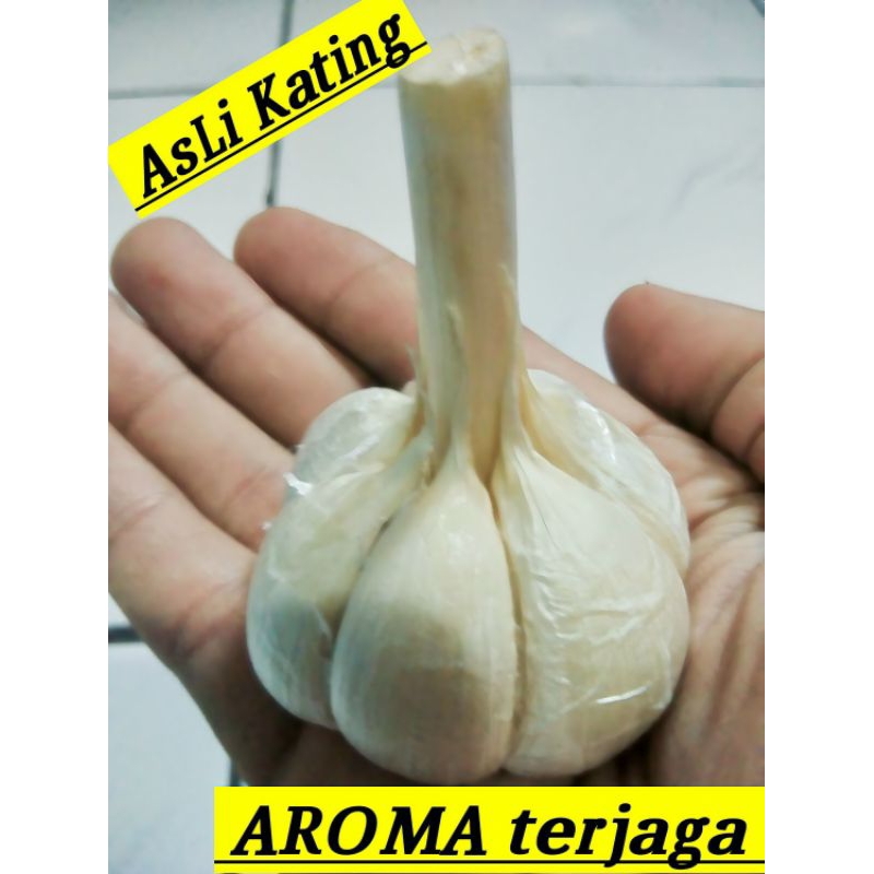 

Bawang Putih Kating Bonggol Bersih Utuh AROMA terjaga.