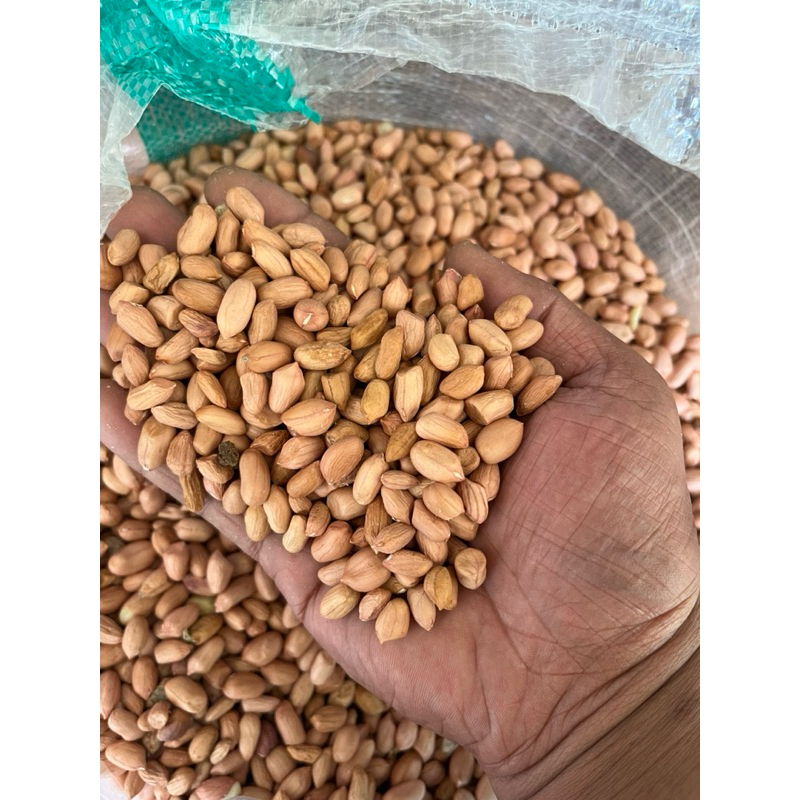 

kacang kupas mentah / kacang jawa kupas 1kg /kacang tanah