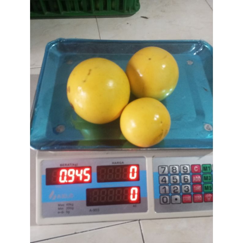 

buah abiu jumbo