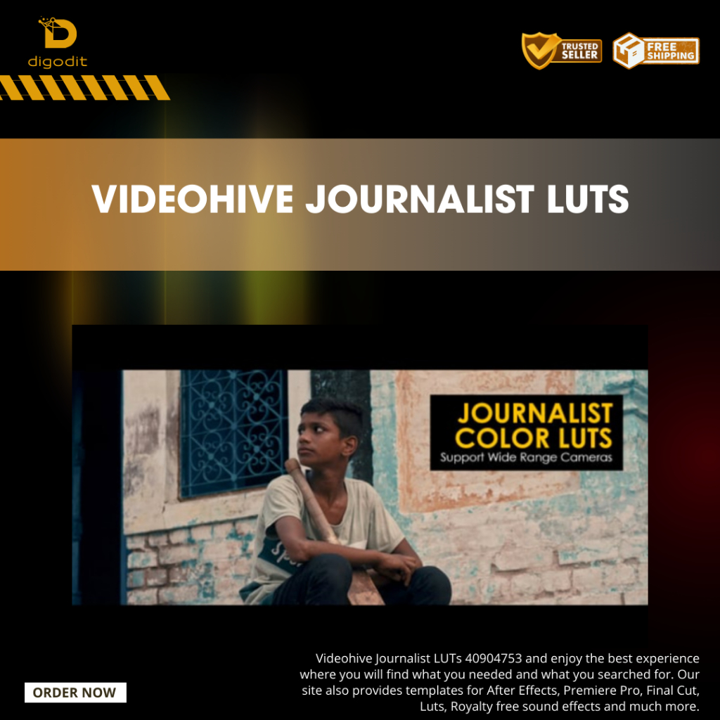 Videohive Journalist LUTs