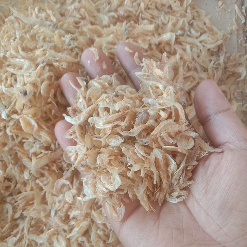 

Udang rebon / Udang kering