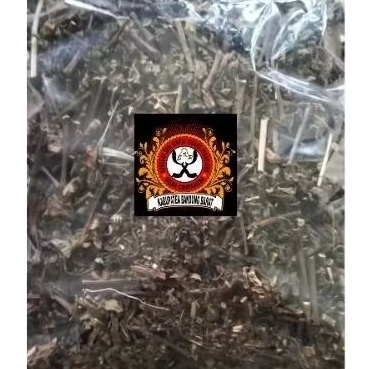 

Daun Kumis kucing Kering 200gr
