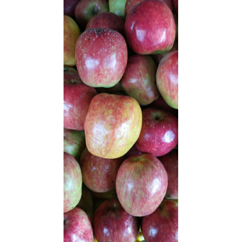 

BUAH APPLE ANA Merah segar