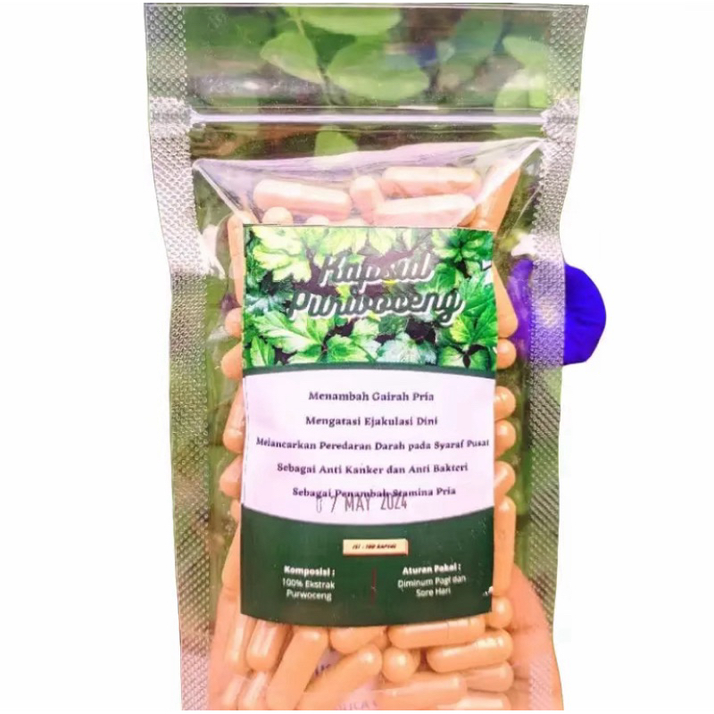Kapsul Purwoceng/Purwaceng Asli isi 100 Kapsul
