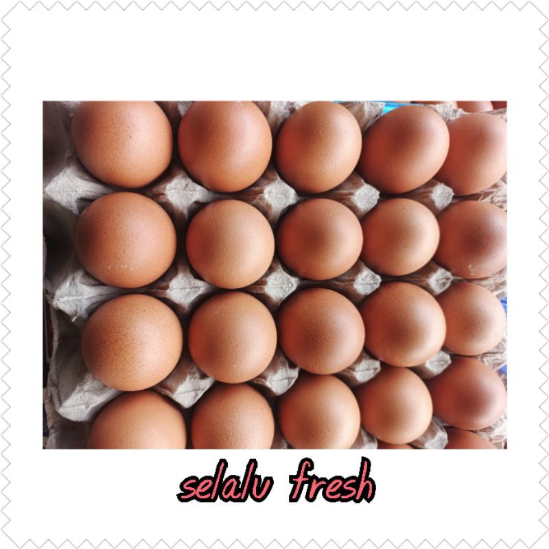 

1.5 KG Telor Ayam / Telur Ayam Fresh