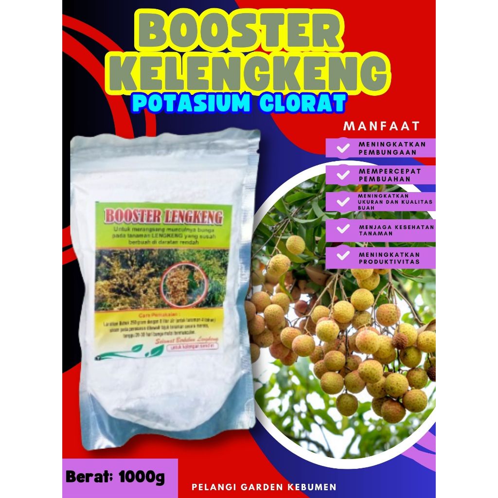 PALING DICARI  Boster Kelengkeng Cangkokan