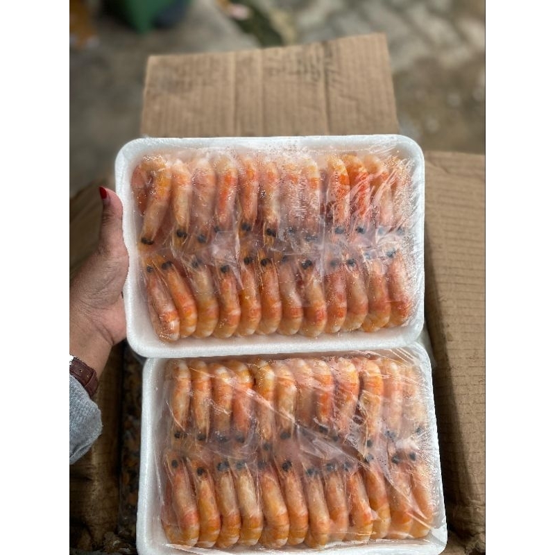 

udang stimp