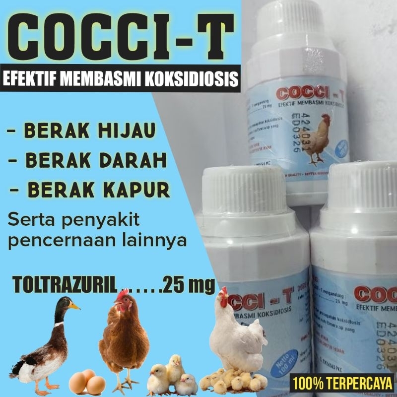 COCCI T -  PENCEGAHAN & PENGOBATAN  koksidiosis