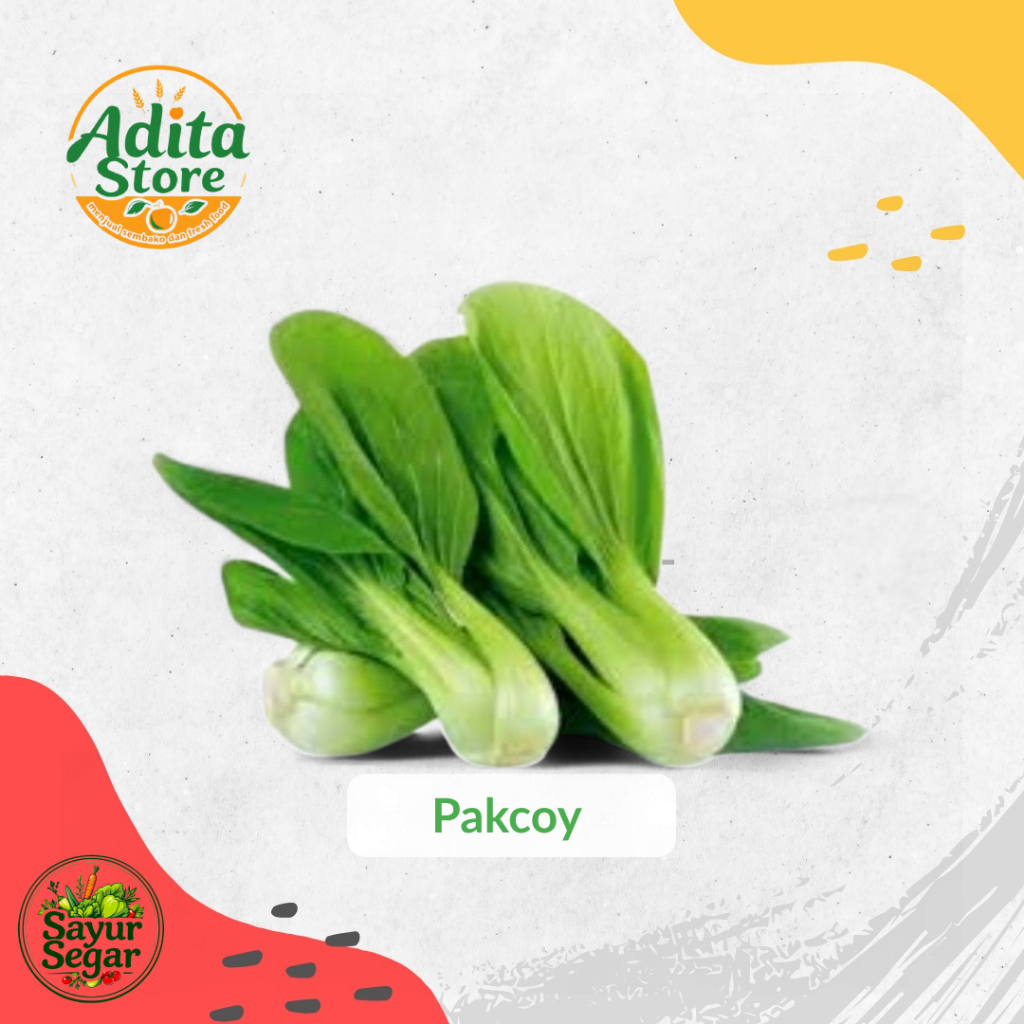 

Sayur Pakcoy | Pokcoy Segar