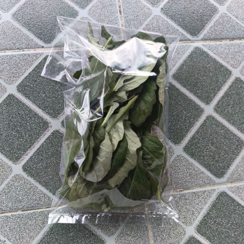 

daun herbal chanchit. samsit. daun dewa 100gram