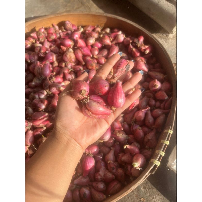 

Bawang Merah Lokal ukuran Sedang 1kg