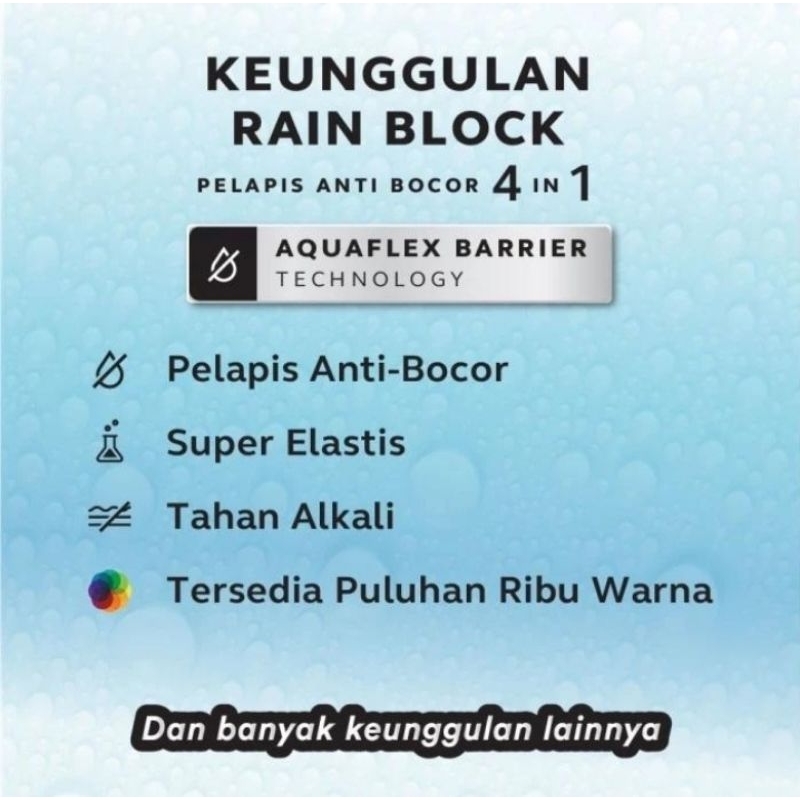 Kansai Paint rain block cat waterproofing  1kg