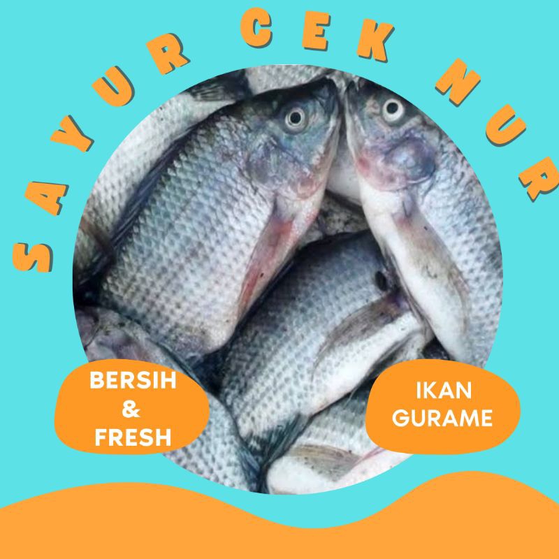

IKAN GURAME FRESH & BERSIH PALEMBANG