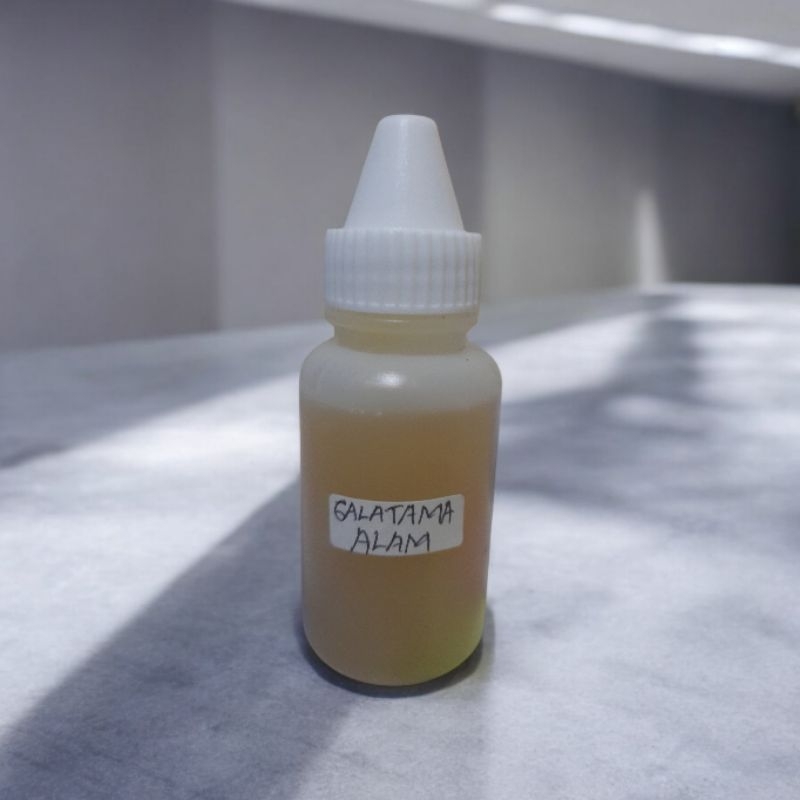 essen oplosan ikan lele media alam special induk babon ikan kecil makan