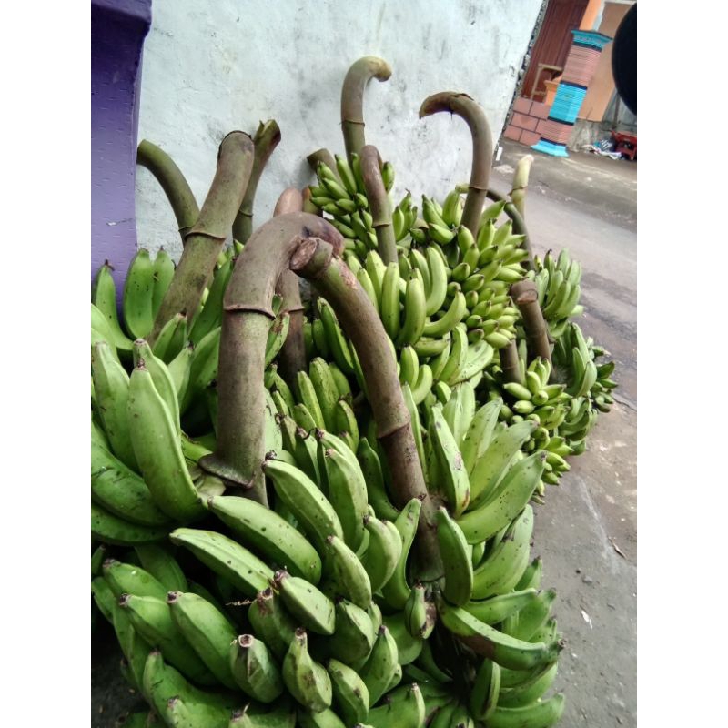 

pisang raja nangka segar...satu sisir dapat banyak...berat 1 kg lebih.