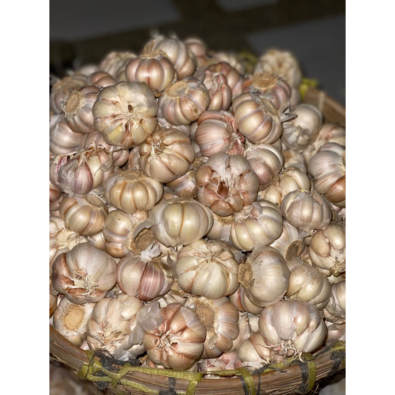 

PROMO BAWANG PUTIH !! 1kg 1/2 kg 1/4 kg