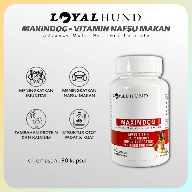 VITAMIN ANJING MENAMBAH NAFSU MAKAN MENINGKATKAN IMUNITAS MAXINDOG | OBAT MENAMBAH IMUNITAS ANJING M