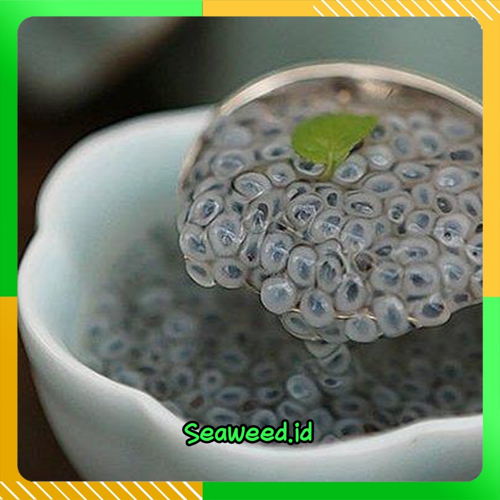 

Biji Selasih untuk minuman Biji selasih Basil Seed / Biji Selasih Besar & Bersih 100% PREMIUM QUALITY