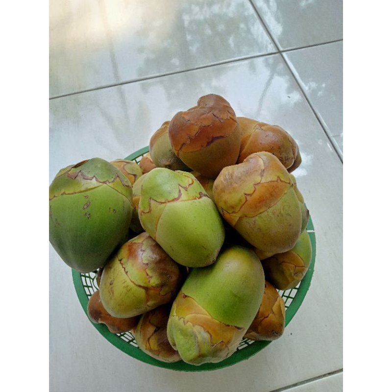 

new promo kelapa kecil/beluluk termurah fresh per 5 biji