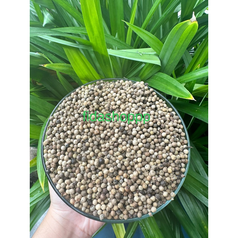 

lada putih white pepper merica 1kg asli tidak campuran tanpa pemutih