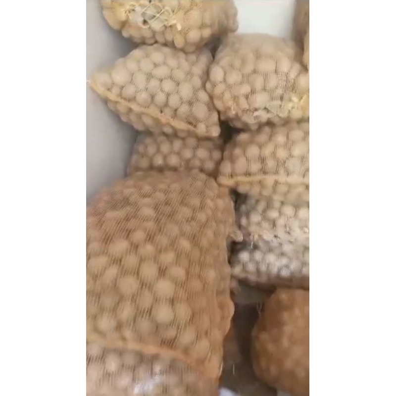 

KENTANG DIENG ukuran DN 500gr langsung Petani