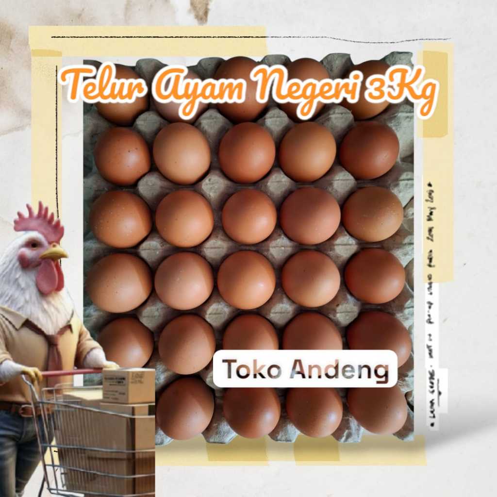 

Telur Ayam Negeri 3Kg