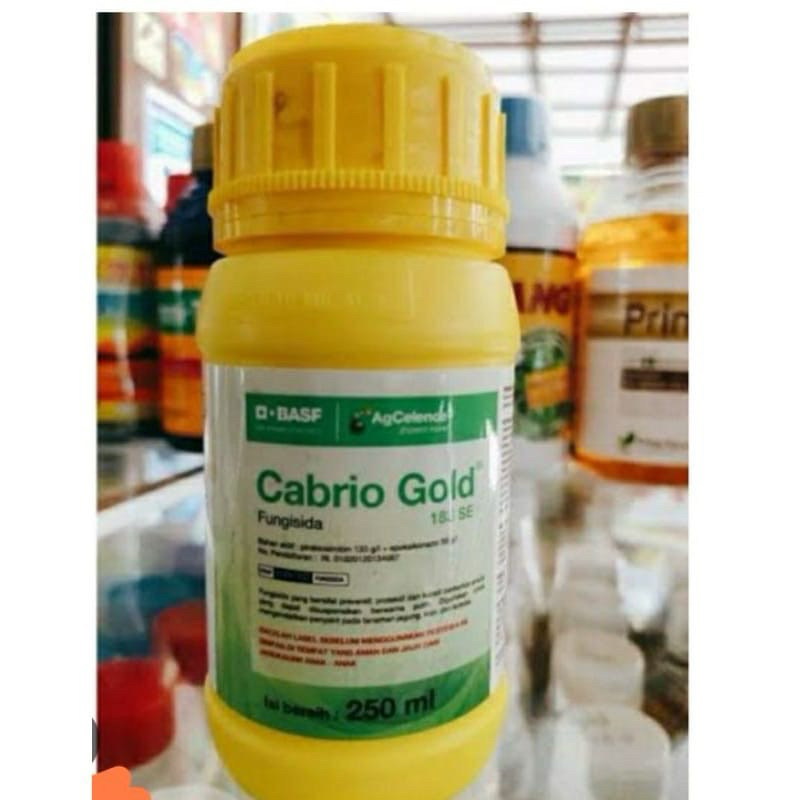 Cabrio Gold 183 SE 250 ML