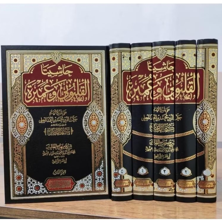 Kitab Hasyiyatani/Hasyiyata Al Qolyubi wa 'Amiroh 'ala Syarh Kanzur Raghibin lil Mahalli  (حاشيتا ال
