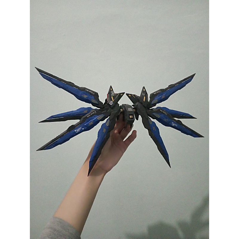 backpack Gundam mg strike freedom daban
