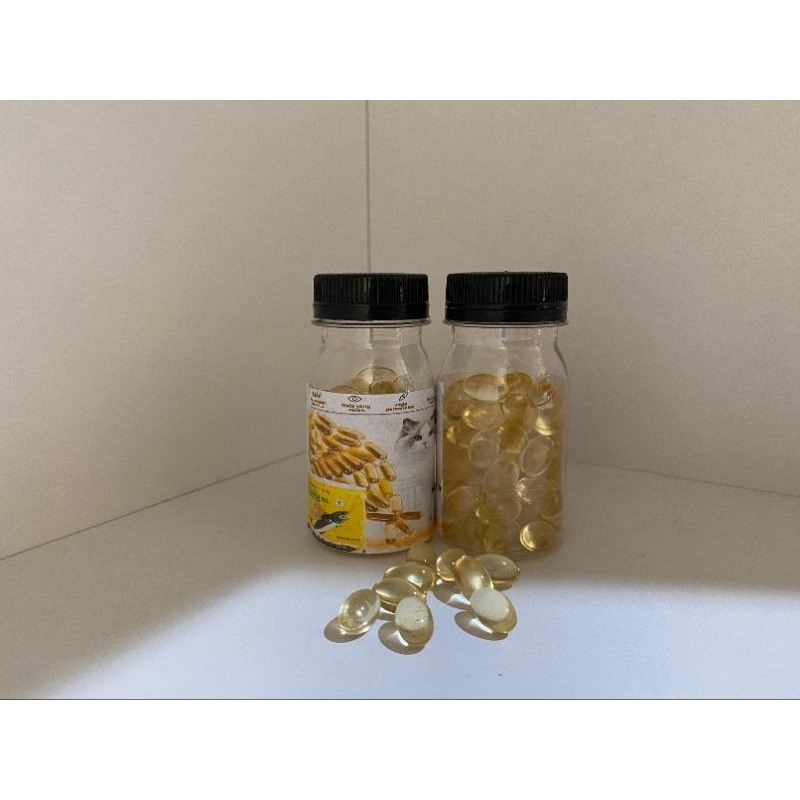 MINYAK IKAN TUNG HAI Fish Liver Oil Tung-Hai 60 Capsules Tung Hay Minyak Ikan