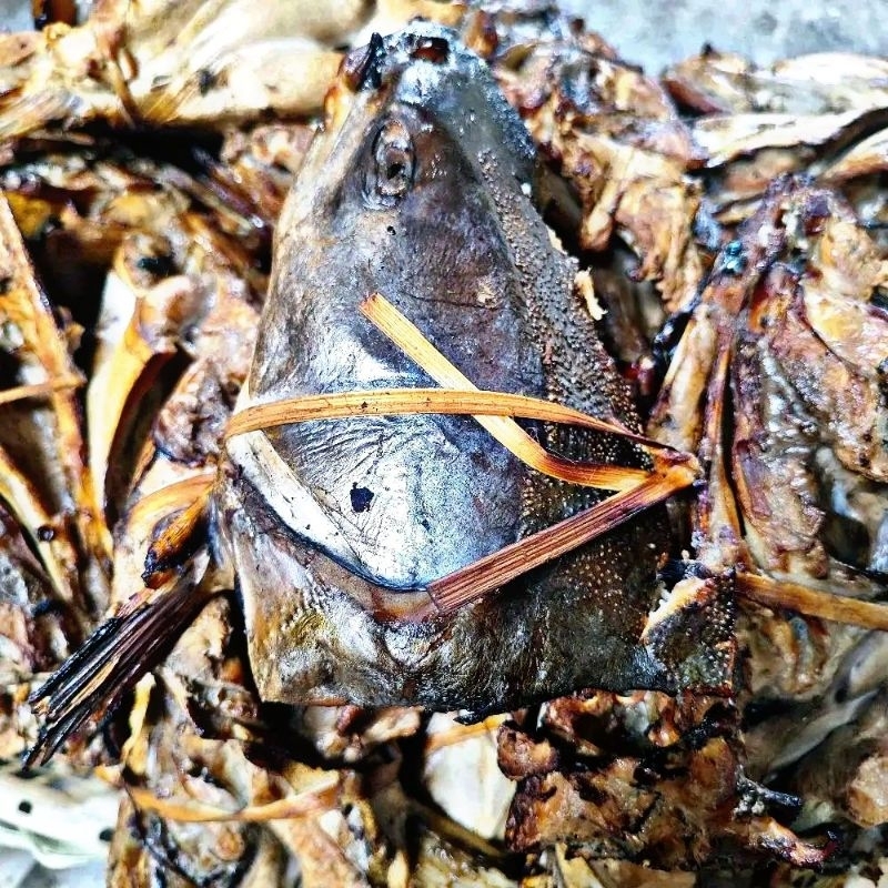 

1kg kepala ikan manyung asap fresh vakum