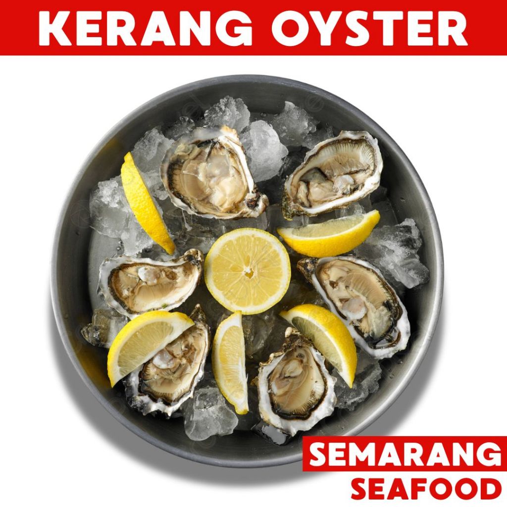 

Kerang Oyster Frozen 1Kg