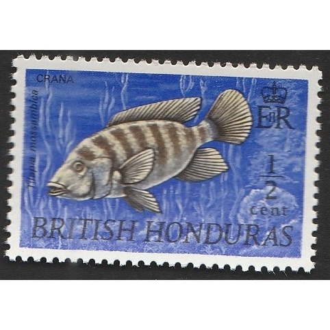 

A 11522 SATU BUAH PRANGKO BRITISH HONDURAS NOMINAL HALF CENT TEMA SATWA IKAN CRANA DENGAN KONDISI BELUM ADA CAP