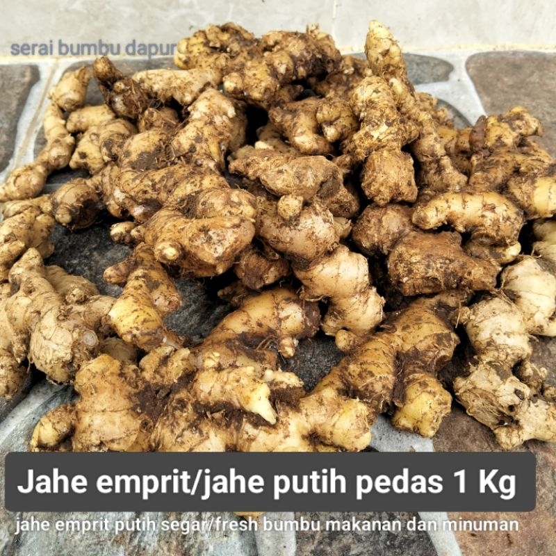

Jahe emprit putih segar 1 kg