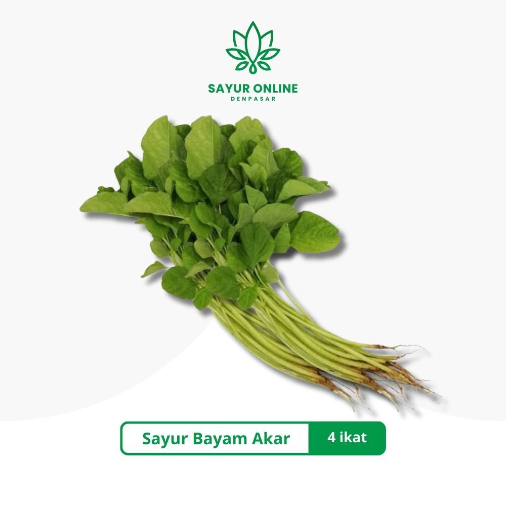 

Sayur Bayam Akar 4 Ikat - Sayur Online Denpasar